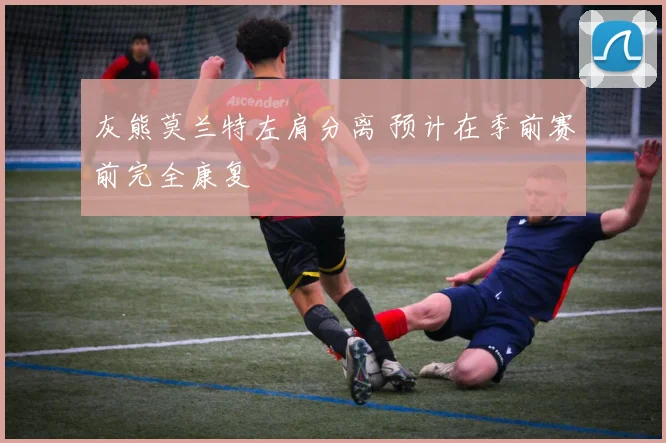 灰熊莫兰特左肩分离 预计在季前赛前完全康复